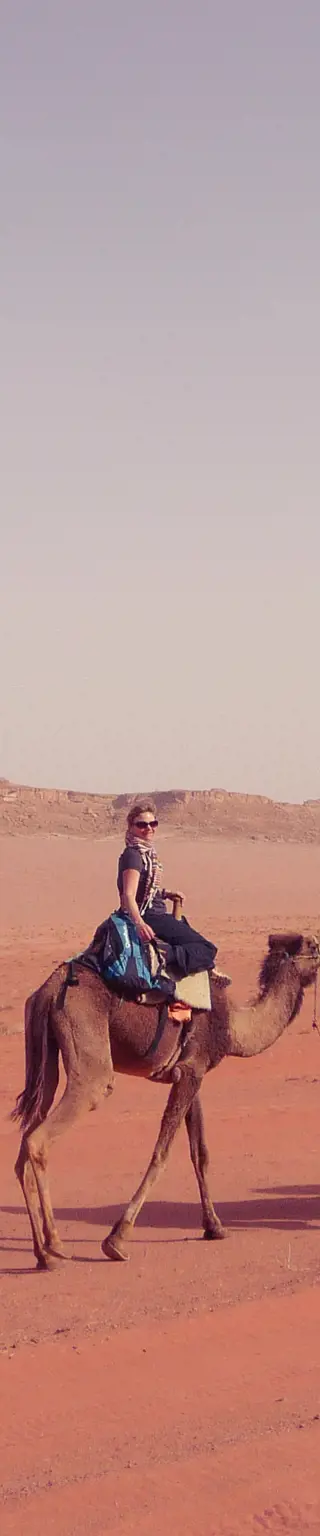 Reite dein Kamel bis ans Rote Meer